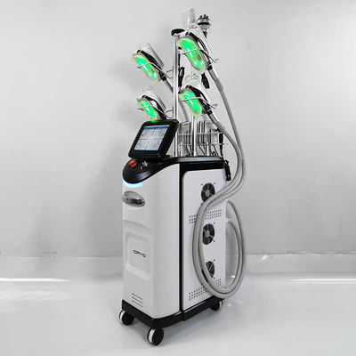 Máquina de Cryolipolysis do CE do abdômen, máquina gorda do emagrecimento do gelo de Cryolipolysis